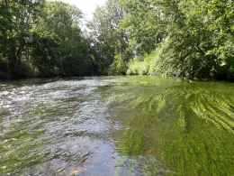 Bode (Quedlinburg)-2