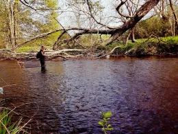 Bode (Quedlinburg)-1