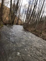 Erft (Bad Münstereifel)-1