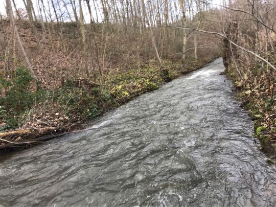 Erft (Bad Münstereifel)-2