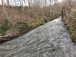 Erft (Bad Münstereifel)-2