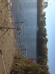 Forellensee Vöhrum-1