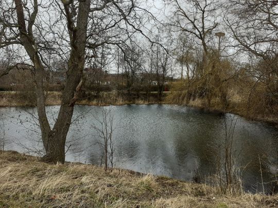 Dorfteich Kerspleben angeln