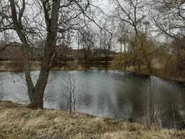 Dorfteich Kerspleben