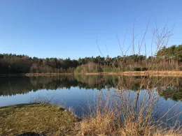 Tongrube Twiehausen-2