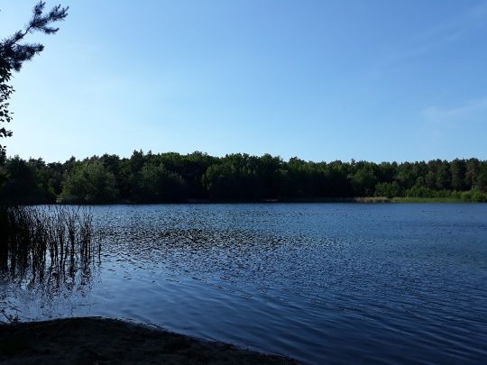 Friedensteich (Wittenberge)-1