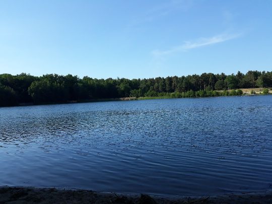 Friedensteich (Wittenberge) angeln