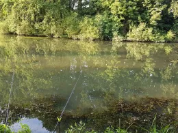 Regenrückhaltebecken Syke