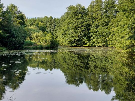 Regenrückhaltebecken Syke-1