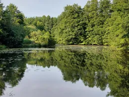 Regenrückhaltebecken Syke-1