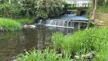 Bückeburger Aue (Meinsen)