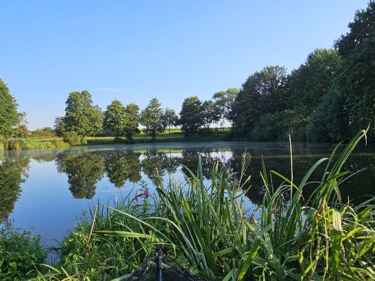 Torflöcher Nasseböhla-3