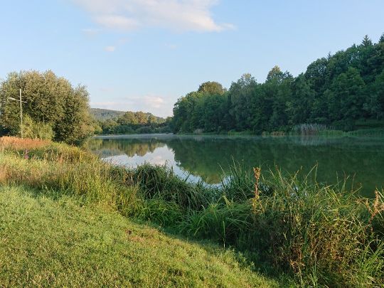 Stausee Sohland angeln