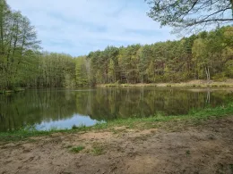 Teich im Revier Rothe Bache-4