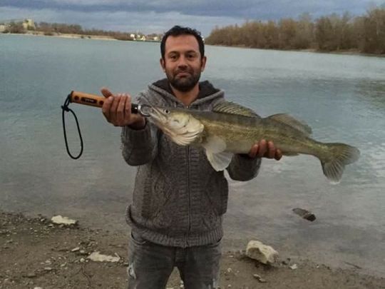 Les Chalets du Lac (Beinheim)