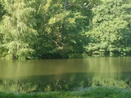 Mühlenbachteich (Löningen)