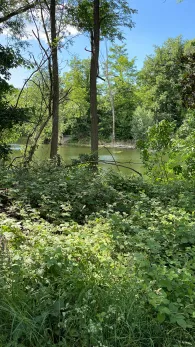 Oberwaldsee (Karlsruhe)-3
