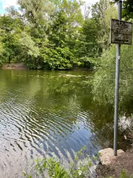 Oberwaldsee (Karlsruhe)-1