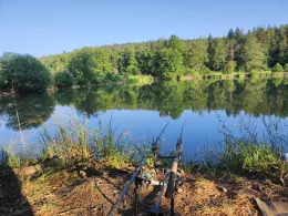 Tambacher Fischteiche