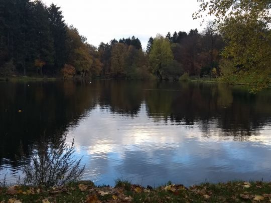 Teichanlage MASV Halver-1