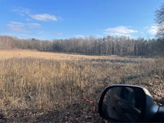 Pumpenteich Dahlen-1