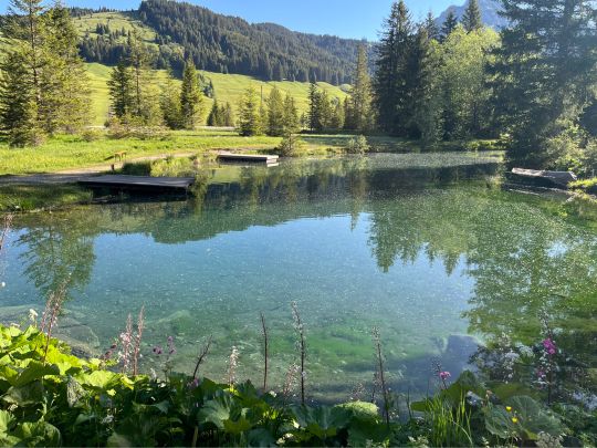 Fischteich Greither Weiher-1