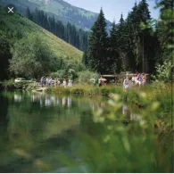 Fischteich Greither Weiher