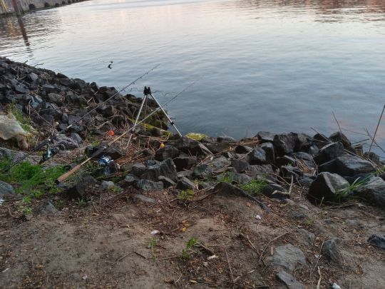 Stadtgraben Lübeck-4