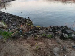 Stadtgraben Lübeck-4