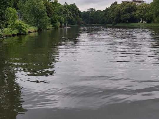 Stadtgraben Lübeck-2