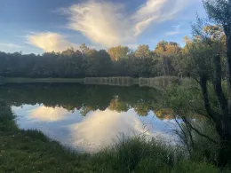 Sasbacher Badesee (Sasbach am Kaiserstuhl)