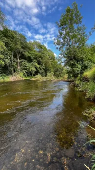 Weiße Elster (Bad Köstritz)-2