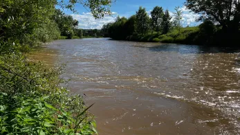 Weiße Elster (Bad Köstritz)-1