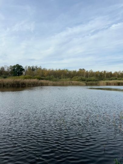 Landratsgraben (Remplin)-1