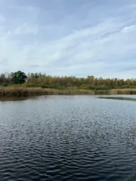 Landratsgraben (Remplin)-1