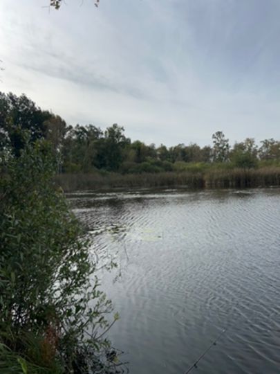 Landratsgraben (Remplin)