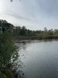 Landratsgraben (Remplin)