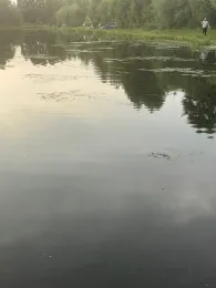 Forellenpark Gut Schnede-4