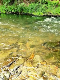 Zwönitz (Einsiedel)-1