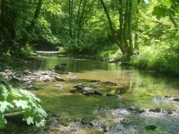 Zwönitz (Einsiedel)