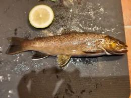 Zwönitz (Einsiedel)-3