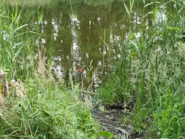 Torfstich Wildenbruch-4