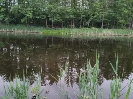 Torfstich Wildenbruch-1