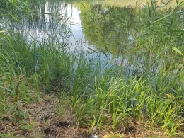 Torfstich Wildenbruch-3