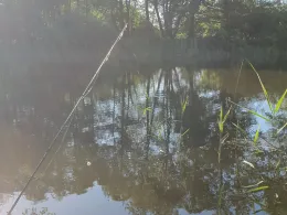 Torfstich Wildenbruch-2