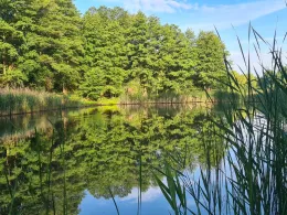 Torfstich Wildenbruch