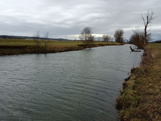 Vilskanal (Eichendorf)-2