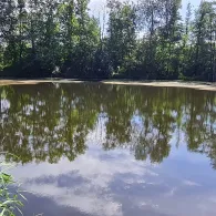 Siedlungsteich Laubusch-3