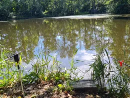 Siedlungsteich Laubusch-2