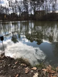 Siedlungsteich Laubusch-1